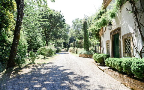 Fattoria: Arbusto, Giardino, Driveway, Landscaping, Shade, Passerella, Giardino Botanico, Hedge, Piantagione, Trail