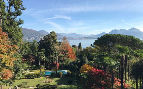 Romantica 16: Albero, Geografia Montane, Natura, Montagna, Vegetazione, Paesaggio Naturale, Collina, Paesaggio, Arbusto, Catena Montuosa