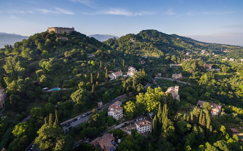 Galero: Albero, Natura, Geografia Montane, Vegetazione, Collina, Montagna, Highland, Paesaggio, Hill Station, Area Rurale