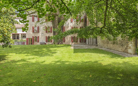 Jasmine Villa: Arbusto, Giardino, Prato, Primavera, Estate, Cortile, Landscaping, Hacienda, Backyard, Parco