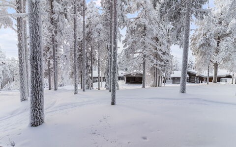 Kelokaltiokylä Mökki 58: Neve, Ramo, Inverno, Albero, Legna, Ramoscello, Congelamento, Tronco, Mattina, Brina