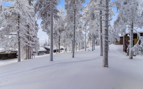Kelokaltiokylä Mökki 58: Neve, Inverno, Ramo, Albero, Legna, Ramoscello, Congelamento, Brina, Tronco, Villetta