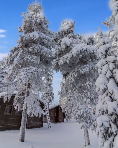 Kelokaltiokylä Mökki 58
