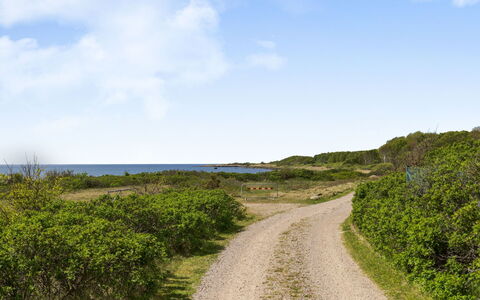 Ringenäs: Cielo, Blu, Verde, Vegetazione, Orizzonte, Paesaggio Naturale, Ecoregione, Strada, Estate, Pascolo
