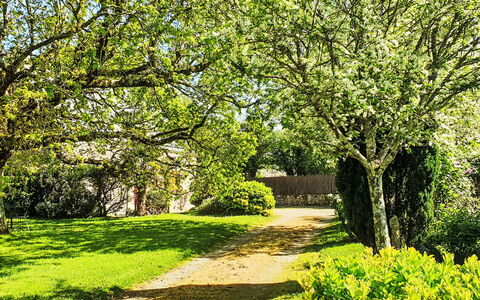 Maison Park Bihan: Arbusto, Giardino, Villetta, Shade, Landscaping, Cortile, Backyard, Villa, Agriturismo, Pianta Della Casa