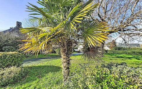 Maison Park Bihan: Arbusto, Giardino, Villetta, Shade, Landscaping, Cortile, Backyard, Villa, Agriturismo, Pianta Della Casa