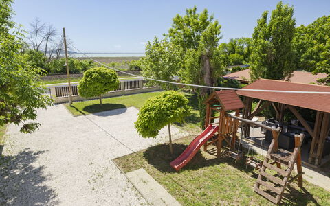 Petka: Arbusto, Giardino, Shade, Landscaping, Prato, Cortile, Estate, Backyard, Hacienda