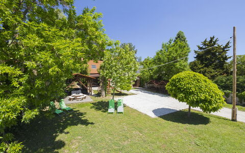 Petka: Albero, Arbusto, Giardino, Prato, Shade, Landscaping, Cortile, Parco, Backyard, Hacienda
