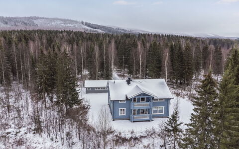 Villa Ulperi: Legna, Villetta, Casa, Casa, Porta, Latifoglie, Edifici Giardino, Color Legno, Log Cabin, Plank
