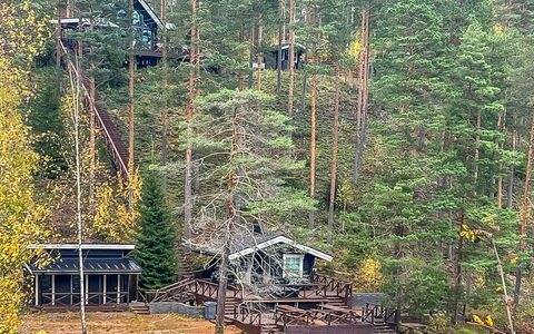 Villa Loisto: Albero, Ambiente Naturale, Legna, Foresta, Woodland, Tronco, Riserva Naturale, Giungla, Villetta