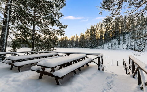 Villa Loisto: Neve, Inverno, Albero, Legna, Ramo, Panchina, Paesaggio, Congelamento, Mobili Da Esterno, Tavolo Da Picnic