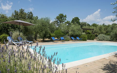 Villa El Olivar: Piscina, Giardino, Estate, Landscaping, Mobili Da Esterno, Hacienda, Ricorrere, Villa, Backyard, Agriturismo