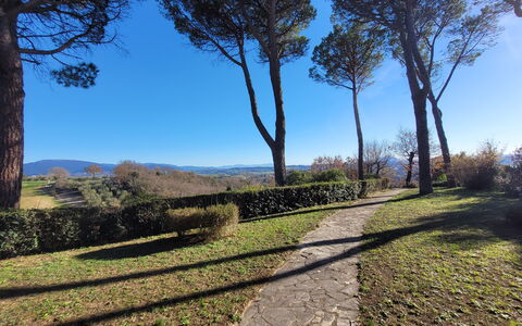 Villa El Olivar: Cielo, Blu, Foglia, Albero, Verde, Ambiente Naturale, Natura, Ramo, Vegetazione, Paesaggio Naturale