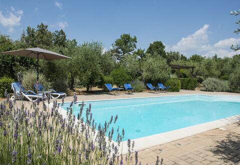 Villa El Olivar: Piscina, Giardino, Estate, Landscaping, Mobili Da Esterno, Hacienda, Ricorrere, Villa, Backyard, Agriturismo