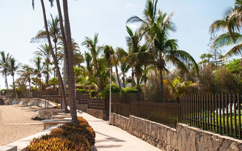El Veril: Albero, Tronco, Woody Impianto, Tropici, Passerella, Costa, Spiaggia, Shade, Vacanza