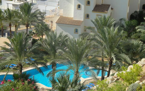 Altea Dorada: Piscina, Vegetazione, Proprietà, Ricorrere, Palma, Albero, Azzurro, Arecales, Vacanza, Hotel