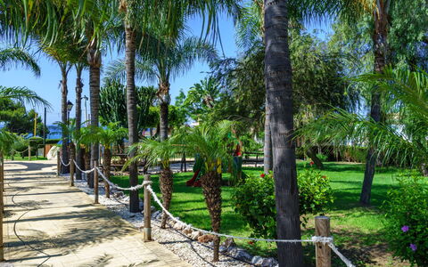 Cala Serena Village: Albero, Vegetazione, Woody Impianto, Tronco, Shade, Tropici, Passerella