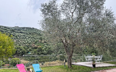 Micuzzo: Giardino, Shade, Recinzione, Cortile, Landscaping, Parco, Mobili Da Esterno, Backyard, Home Scherma