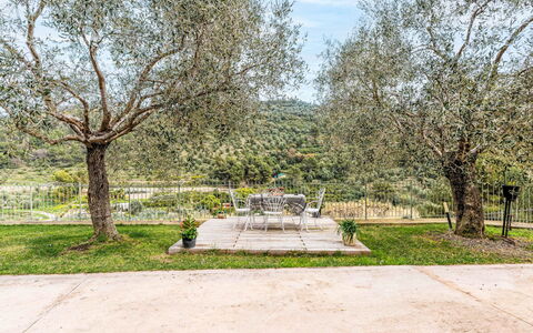 Micuzzo: Albero, Paesaggio, Arbusto, Giardino, Primavera, Landscaping, Shade, Parco, Prato, Giardino Botanico