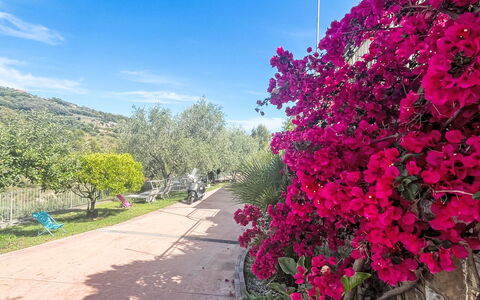 Micuzzo: Fiore, Arbusto, Rosa, Primavera, Giardino, Petalo, Pianta Fiorita, Giardino Botanico, Fiorire
