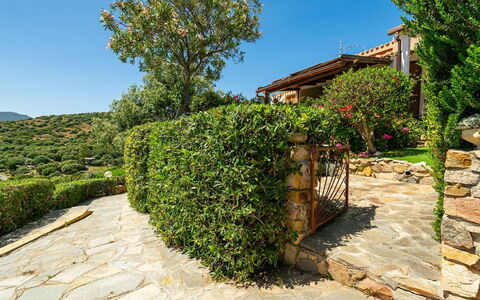 Casetta nel Blu: Arbusto, Giardino, Muro ​​Di Pietra, Landscaping, Hedge, Giardino Botanico, Flagstone, Passerella