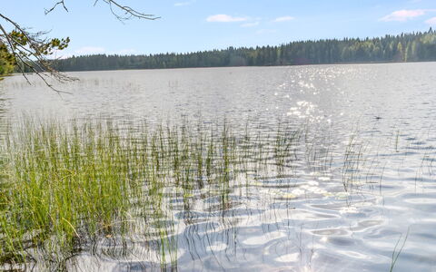 Kuikkaranta: Acqua, Risorse Idriche, Corpo D'Acqua, Ambiente Naturale, Natura, Palude, Paesaggio Naturale, Banca