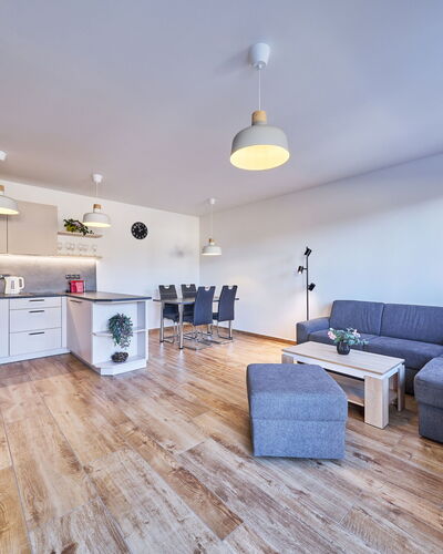 Sunny Terrace Oasis