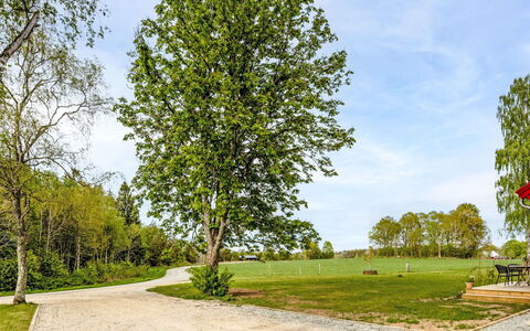 Hönetorpet: Foglia, Albero, Natura, Ramo, Verde, Erba, Plain, Lotto, Tronco, Woody Impianto