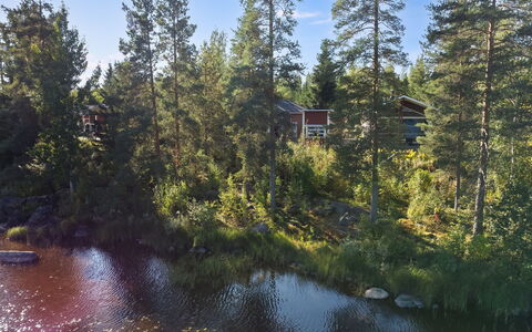 Tiirinniemi 27 a: Albero, Natura, Ambiente Naturale, Paesaggio Naturale, Paesaggio, Foresta, Banca, Riparia, Larice