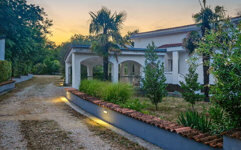 Filip: Architettura, Casa, Zona Residenziale, Giardino, Estate, Hacienda, Driveway, Calcestruzzo, Landscaping, Shade