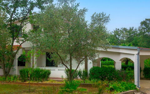 Filip: Foglia, Ramo, Arbusto, Giardino, Primavera, Woody Impianto, Backyard, Shade, Cortile, Prato