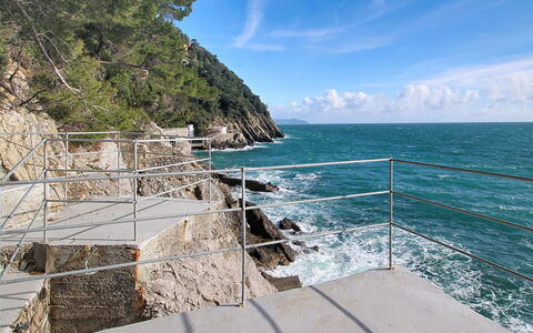 Laccadiva: Costiera E Morfologie Oceanic, Costa, Mare, Oceano, Riva, Promontorio, Promontorio, Scogliera, Tropici