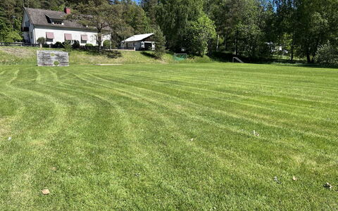 Skolhuset: Erba, Albero, Pascolo, Arbusto, Lotto, Prato, Plain, Prato, Groundcover