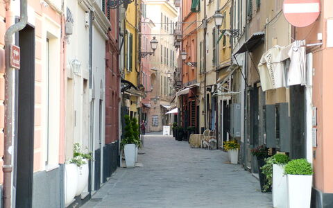 Orizzonte Blu Alassio: Foglia, Vegetazione, Arbusto, Giardino, Comunita 'Impianto, Landscaping, Woody Impianto, Prato, Shade, Cortile