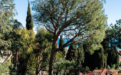 Orizzonte Blu Alassio