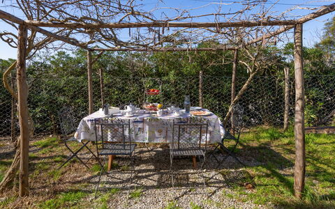 La Casa del Prime: Foglia, Vegetazione, Arbusto, Giardino, Comunita 'Impianto, Landscaping, Woody Impianto, Prato, Shade, Cortile