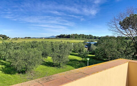 La Casa del Prime: Foglia, Vegetazione, Arbusto, Giardino, Comunita 'Impianto, Landscaping, Woody Impianto, Prato, Shade, Cortile