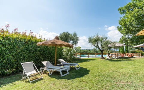Agriturismo le Due Querce: Piscina, Mobili Da Esterno, Ricorrere, Giardino, Lettino, Eco Hotel, Prato, Shade, Estate, Tempo Libero