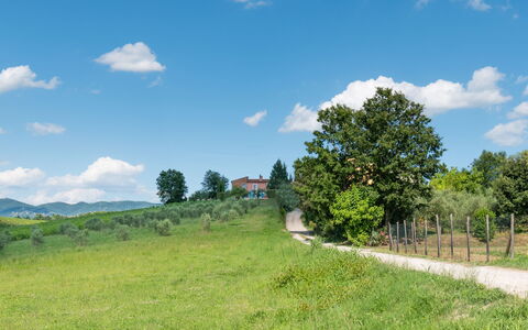 Agriturismo le Due Querce: Cielo, Erba, Verde, Ambiente Naturale, Natura, Paesaggio Naturale, Pascolo, Plain, Paesaggio