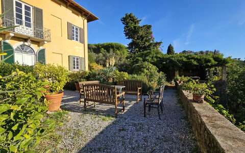 Villa Il Torrazzo, Vista Mare, Massarosa: Vegetazione, Arbusto, Lotto, Casa, Groundcover, Giardino, Estate, Primavera, Villetta, Landscaping