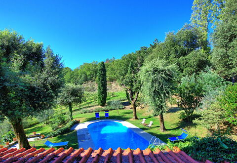 Villa Ulivacci: Blu, Giardino, Piscina, Prato, Shade, Backyard, Landscaping, Parco, Cortile, Mobili Da Esterno
