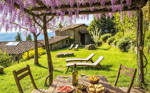 Il Canto dei Merli: Giardino, Sedia, Agriturismo, Eco Hotel, Villetta, Ricorrere, Backyard, Mobili Da Esterno, Landscaping, Cortile