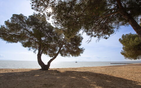 La Londe les Maures 301: Corpo D'Acqua, Ambiente Naturale, Ramo, Orizzonte, Spiaggia, Costa, Sabbia, Ecoregione, Costiera E Morfologie Oceanic, Riva