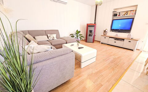 Paz: Mobilia, Interior Design, Divano, Pavimentazione, Pavimento, Soggiorno, Legna, Televisione, Camera, Tavolo