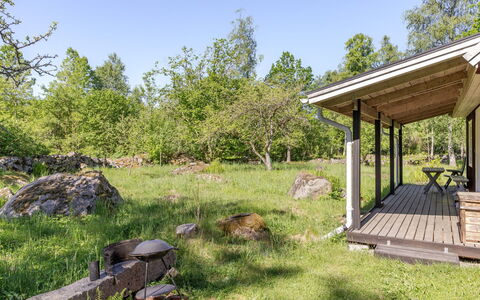 Holmen: Erba, Arbusto, Lotto, Comunita 'Impianto, Area Rurale, Groundcover, Villetta, Giardino, Primavera