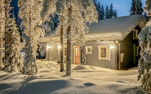 Pankamaa 12: Ramo, Legna, Neve, Casa, Inverno, Villetta, Casa, Congelamento, Larice, Ramoscello