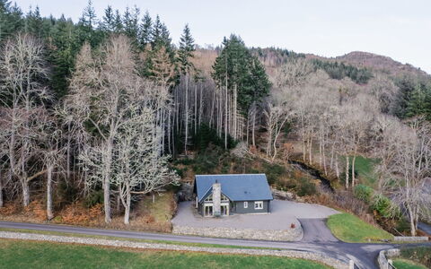 Kennel House: Albero, Erba, Ramo, Manto Stradale, Casa, Casa, Strada, Arbusto, Villetta, Asfalto