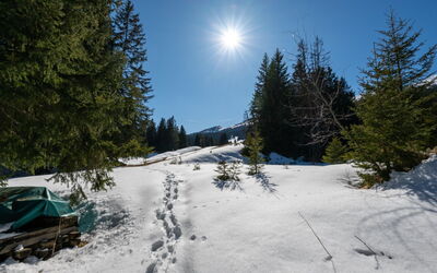 La Riva Mountain Apartment
