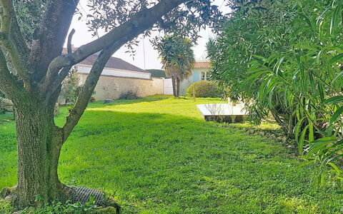 Le Château 3: Verde, Erba, Foglia, Arbusto, Giardino, Prato, Groundcover, Primavera, Woody Impianto