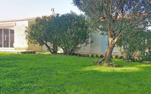 Le Château 3: Erba, Foglia, Arbusto, Giardino, Prato, Groundcover, Primavera, Backyard, Shade